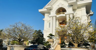 Nhà thông minh Cần thơ