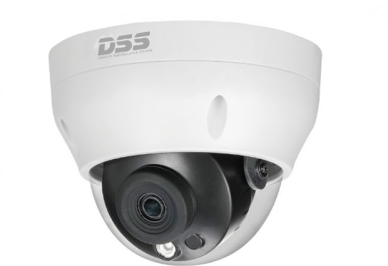 DS2230RDIP-S2