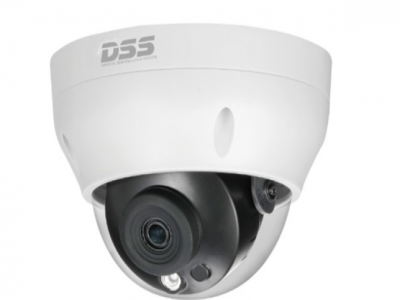 DS2230RDIP-S2